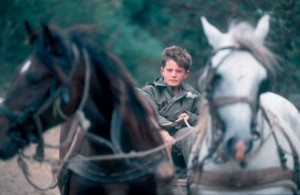 spomenko-gostic RS decak