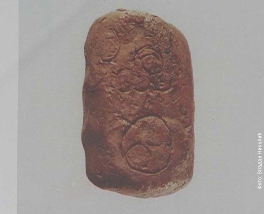 Blagotin-zrno-psenice