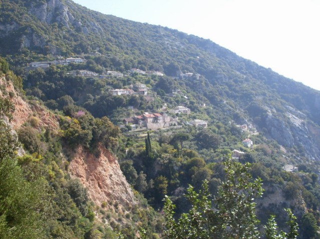 Кавсокаливија