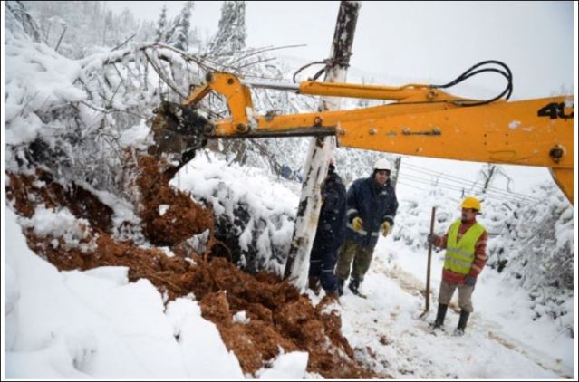 фото: НОВОСТИ