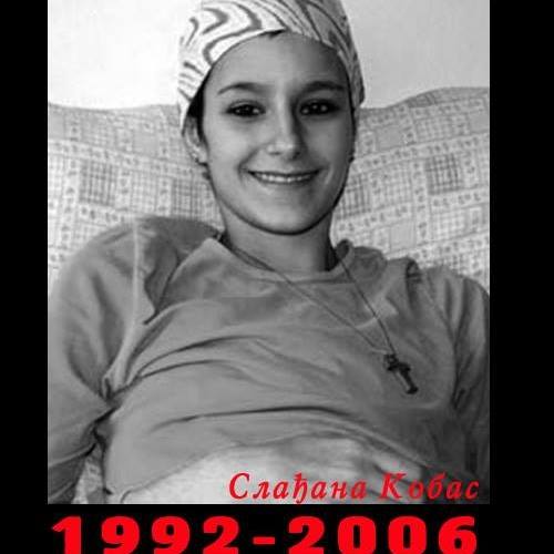 12654285_540164502819500_2132190368488532784_n