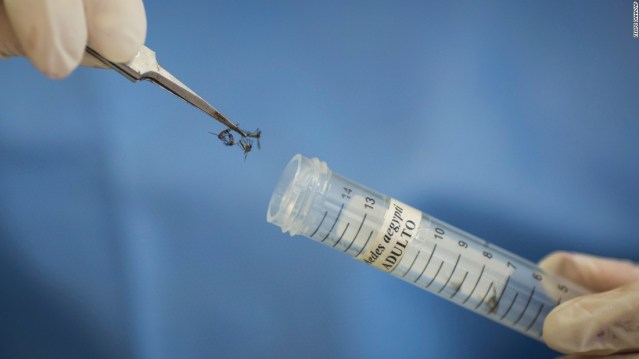zika-virus