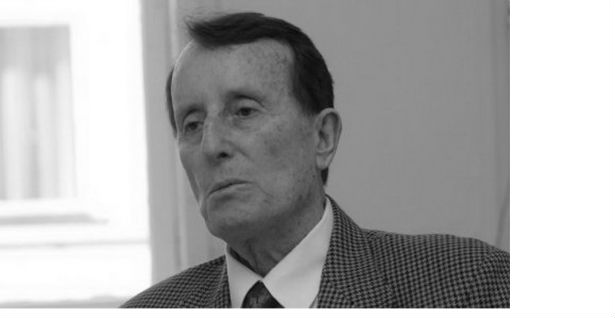 Драгољуб Живојиновић, академик