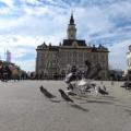 novi-sad-trg_1454581602.467×350