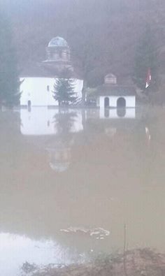 12790988_774663015997494_6779160450563847146_n