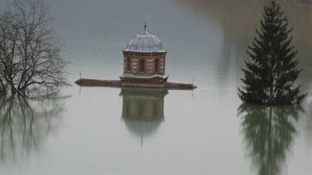 12920372_786617898135339_1967039542626602609_n