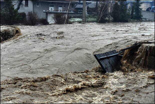 Tan2016-3-7_182757565_1