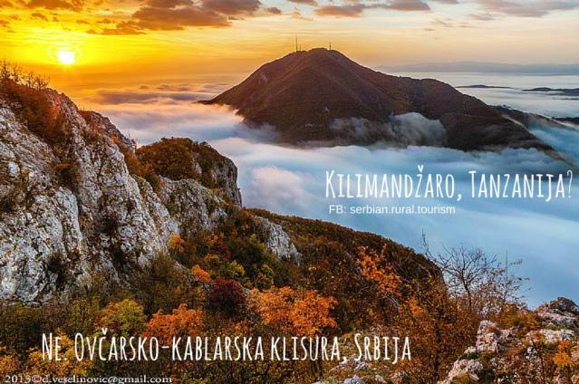 10377179_1230917946936282_8399557260287433725_n