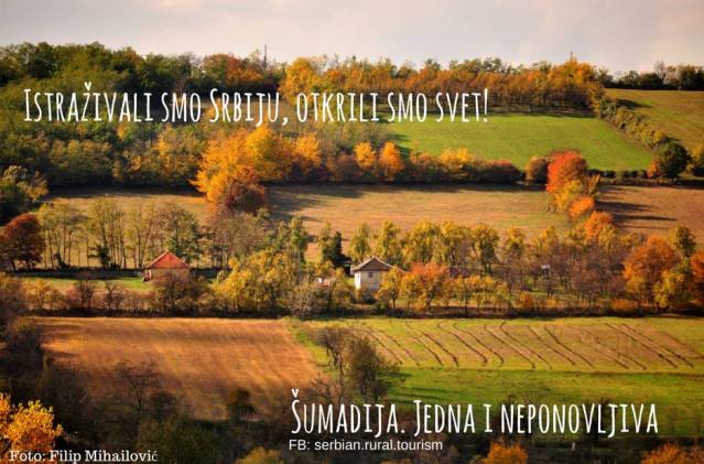 1916431_1230919596936117_4911754554741089230_n