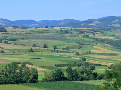 hills_of_sumadija