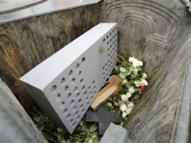 Руже бачене у контејнер (фото: Един Хаџихасић/Klix.ba)