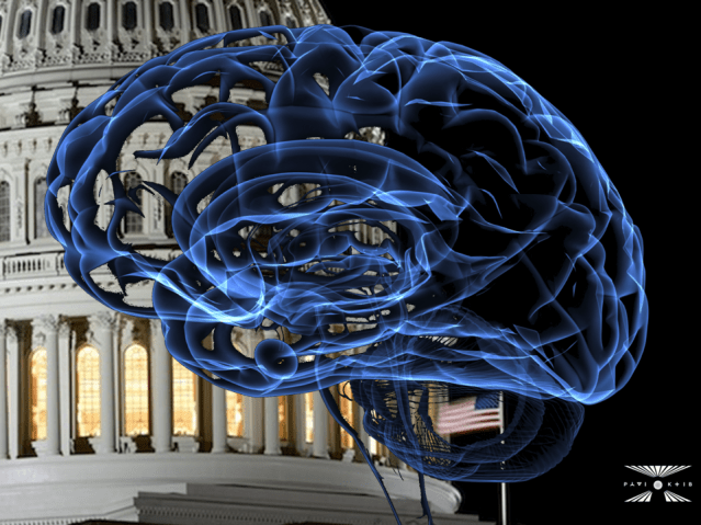 Brain WASHINGton