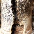 Marble column at the Church of the Holy Sepulchre, split by lightning