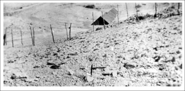 Сведочанство усташе: Ногом сам згњечио главу детету!