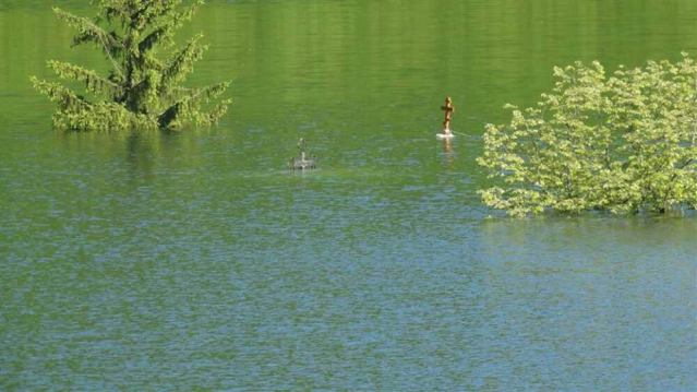 Манастир Светог Архангела Михаила познат као ваљевска Грачаница