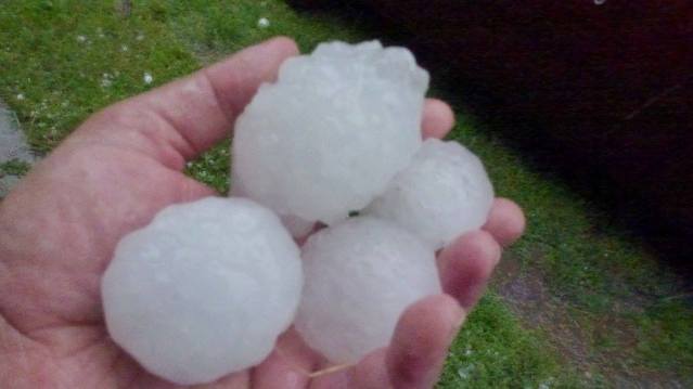 13474998_500203923506530_5356152215503582166_o