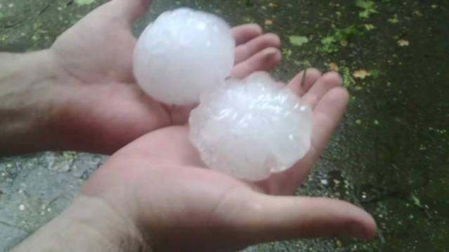 13501888_1648045135522177_5128679285713070415_n