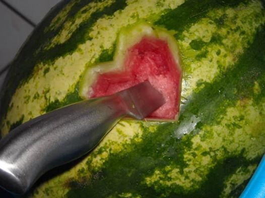 13524537_550364638469439_1785982750236837891_n