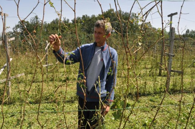 ФОТО: ИСКРА