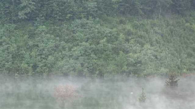 vlcsnap-2016-06-08-21h32m04s20