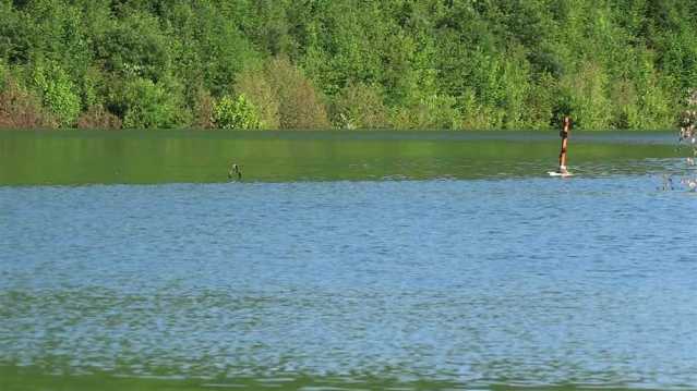 vlcsnap-2016-06-08-21h33m34s212