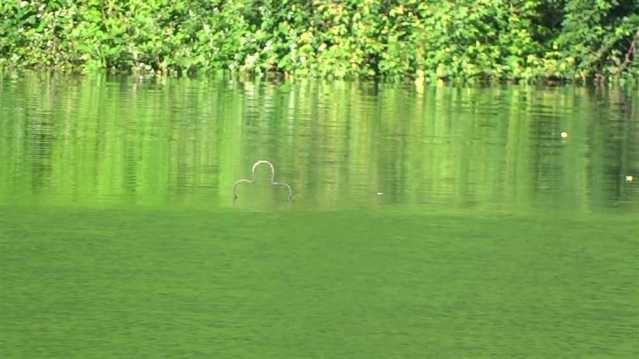 vlcsnap-2016-06-08-21h34m01s201