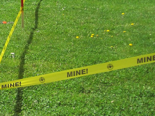 Минско поље, Фото: СРНА