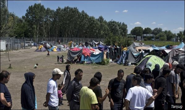 Избеглице не желе да остану у Србији (Фото: Архива)