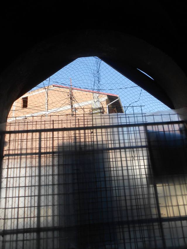 фото: Душан Марић