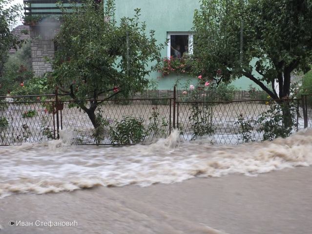 Код комшије Дејана Јанковића као да је цунами…