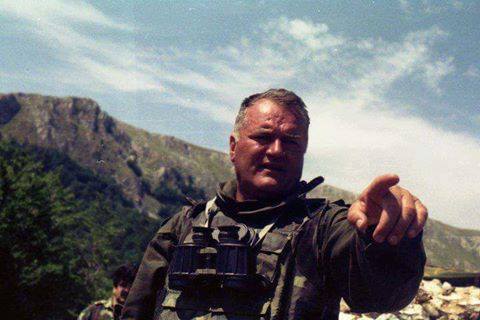 14067681_345268629138939_8435666828381451648_n