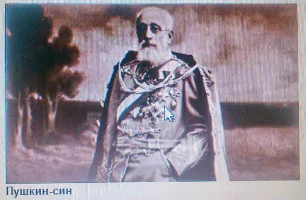 puskinoov-sin