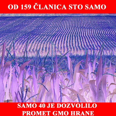 Фото: Фејсбук група „За Референдум против ГМО хране у Србији“