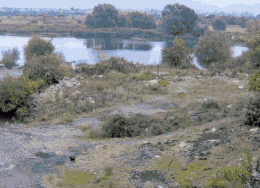 Простор поред реке Бојане у Скадру на коме се налазила црква Св. Николе, подигнута у 14. веку, сру{ена до темеqа у време “културне револуције” шездесетих година 20. века