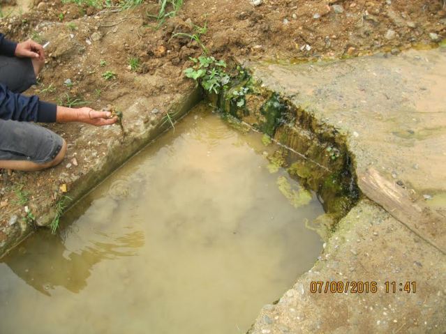 фото: lajkovacnadlanu.rs