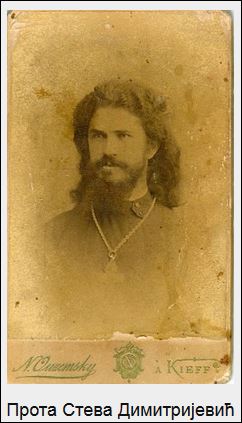 prota-steva-dimitrijevic