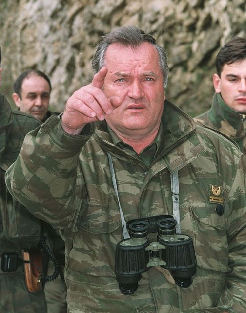 Обвиняемый в военных преступлениях сербский генерал пишет письма из гаагской тюрьмы российскому авиаинженеруФото: GLOBAL LOOK PRESS