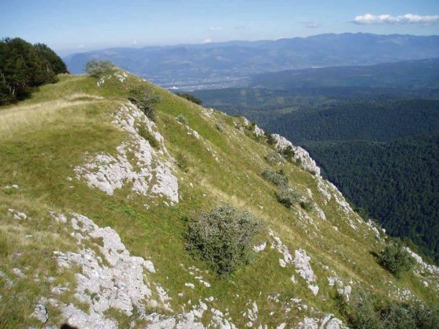 Падине Велике ПЛазенице