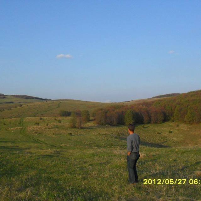 Жељко Трифуновић на Великој ПЛазеници