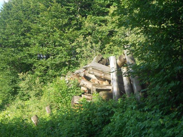 Остаци рова на Великој Плазеници