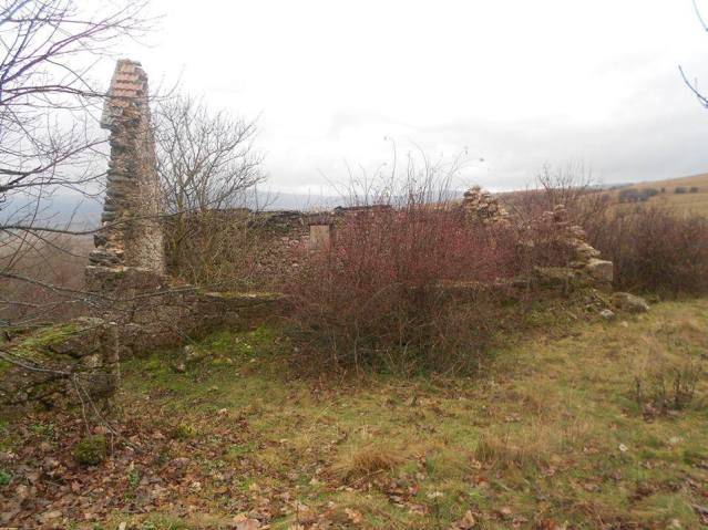 15239348_1007662672689609_1613339946_n