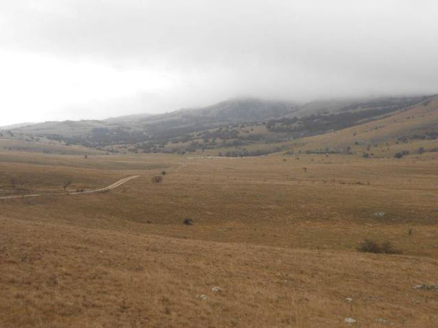 15280925_1007662876022922_161240291_n