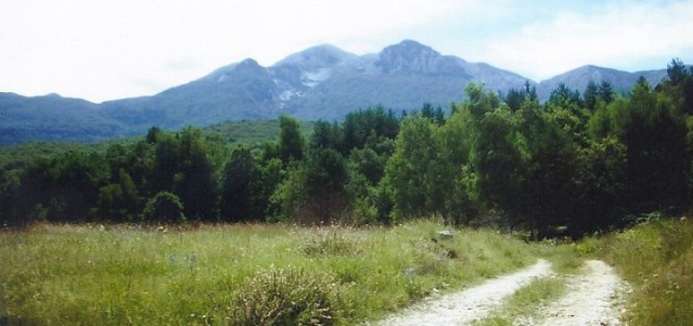 фото: СРБИН.инфо