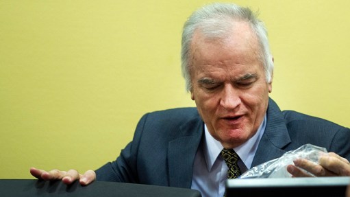 Former Bosnian Serb army commander Mladic attends his trial at the ICTY at The Hague