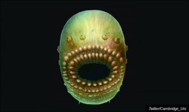 Хм, значи од овога смо настали...