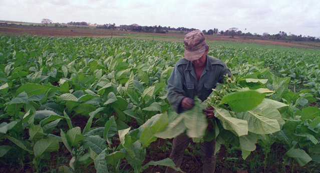 © Sputnik/ Олег Ласточкин