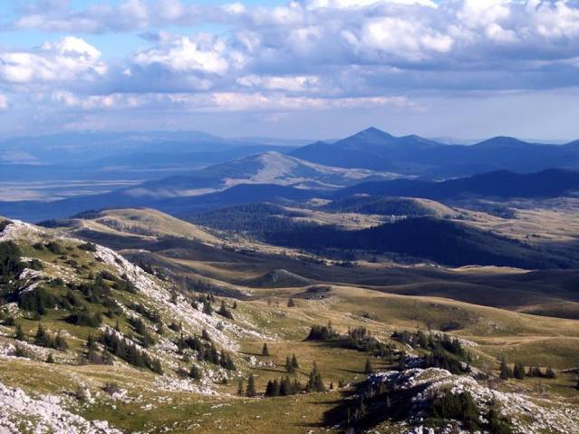 sinovi-vitoroga-maric-4