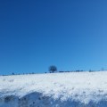 kolubarski mars vetar i sneg (8)