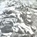 JASENOVAC 1 (1)