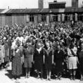 auschwitz-presa–644×362